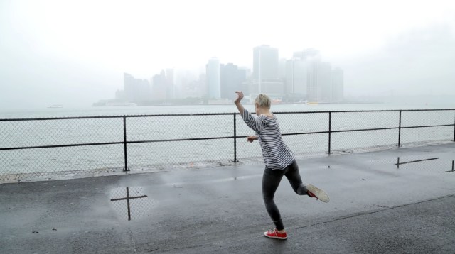 A taxi driver, an architect and the High Line, Huynh-Cottencin, 2016